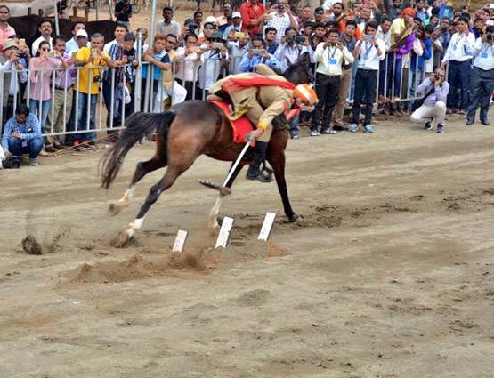 चेतक की वंशज है ये घोड़ी, कीमत सुन दंग हो गए थे CM