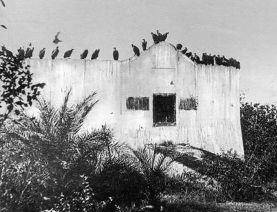 अंतिम संस्कार का हिंदू तरीका अपनाने को क्यों मजबूर हैं पारसी