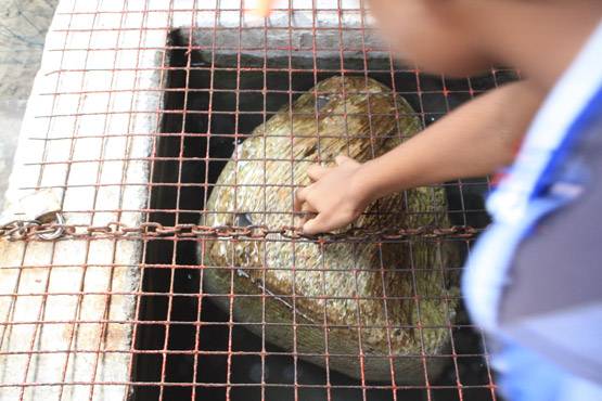 रामसेतु से जुड़ी ये बातें कर देंगी हैरान,पत्थरों से खुला ये राज