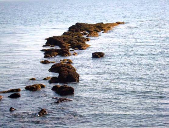 रामसेतु से जुड़ी ये बातें कर देंगी हैरान,पत्थरों से खुला ये राज