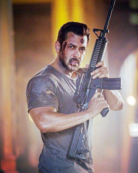 3 दिन में 115 करोड़, Tiger...बनी साल की सबसे बड़ी वीकेंड ओपनर