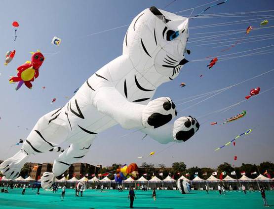 हजारों पतंगों से रंग-बिरंगा हुआ गुजरात का आसमां, देखें PHOTOS