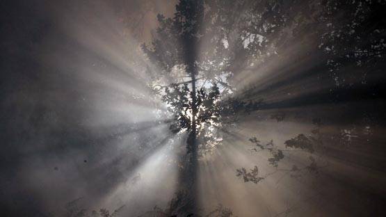 जीवन में कुछ करना चाहते हैं बड़ा तो बचा कर रखें सेक्सुअल एनर्जी