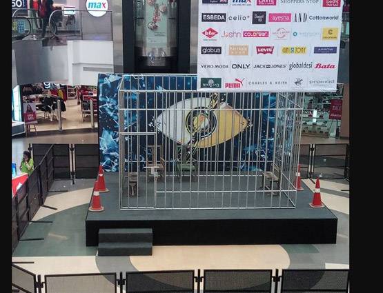 इस हफ्ते Bigg Boss से कौन बाहर? सामने आई INSIDE PHOTOS