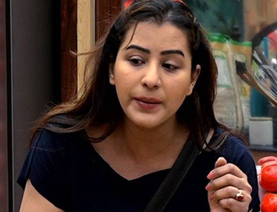 Bigg Boss: आकाश ने बताया- क्यों की थी शिल्पा शिंदे से शादी की बात