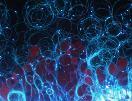 जीवन में कुछ करना चाहते हैं बड़ा तो बचा कर रखें सेक्सुअल एनर्जी