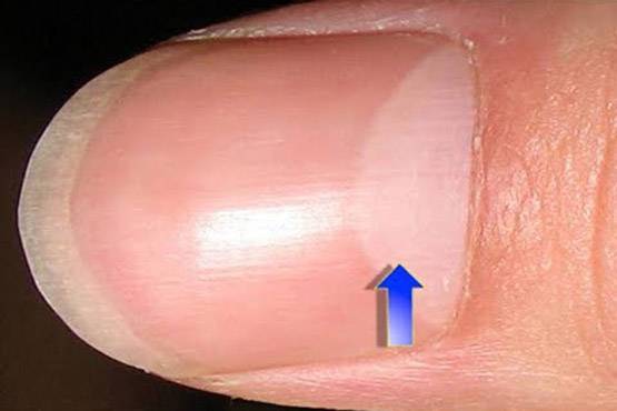 ये 10 संकेत बताते हैं कि आपसे ज्यादा जीनियस कोई नहीं!