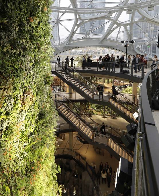 254 अरब का अमेजॉन का नया ऑफिस, दिखेंगे झरने-40 हजार पौधे