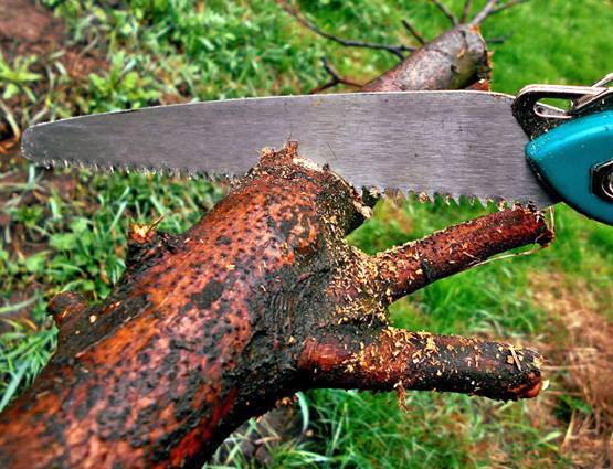 बसंत पंचमी पर भूलकर भी ना करें ये 5 काम!