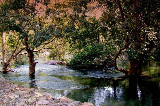 जब भीष्म पितामह ने युधिष्ठिर को बताया अनूठा रहस्य!