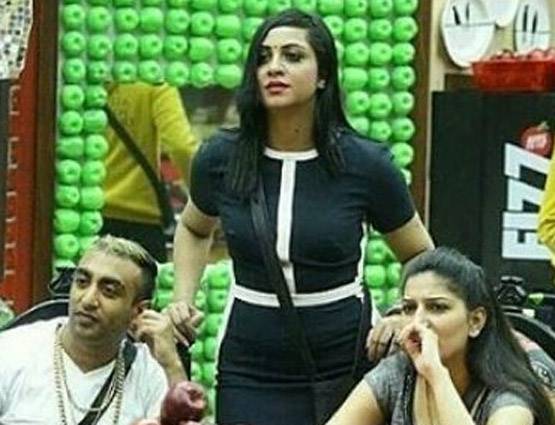 बिग बॉस से बाहर सिर्फ एक चीज मिस करेंगे आकाश, मिला नया काम