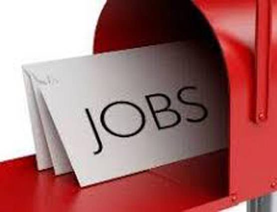 8वीं पास के लिए हैं ये सरकारी नौकरियां, मिलती है अच्छी सैलरी