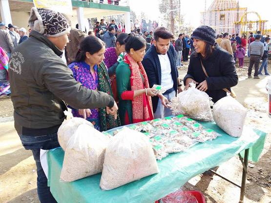 इस लड़की ने शुरू किया ये अनोखा काम, आज लाखों में होती है कमाई