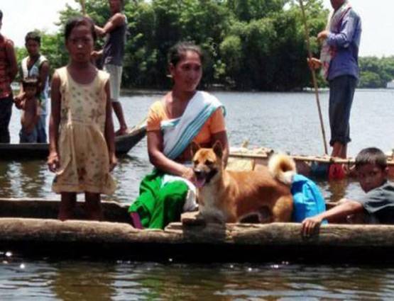 क्या है NRC? पढ़ें आधी रात जारी हुए इस ड्राफ्ट से जुड़ी 10 बड़ी बातें