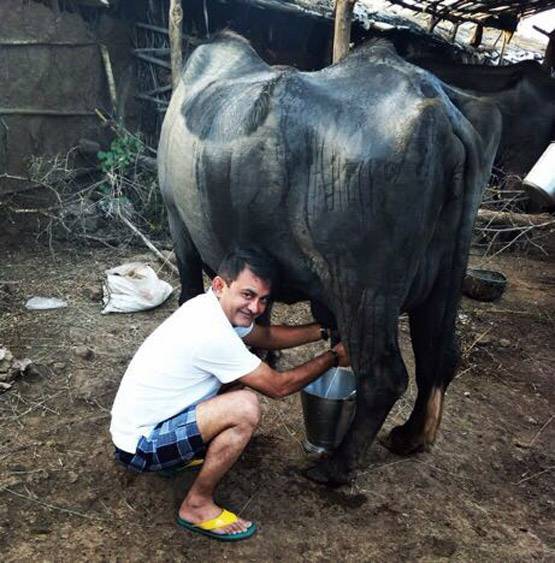 कुछ ऐसे हैं गुजरात में कांग्रेस के नेता प्रतिपक्ष, तीन बार से हैं MLA