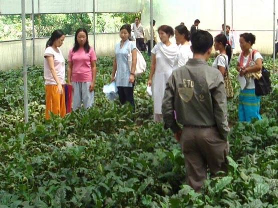 जानें- इग्नू और एसओएल में क्या है बेहतर? ऐसे होता है एडमिशन