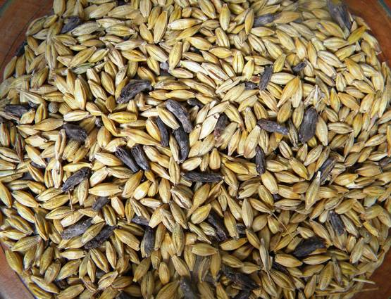 जानिए हिन्दुओं के लिए क्यों खास है कल्पवास और क्या है इसका महत्व