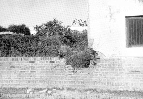 महात्मा गांधी की हत्या से ठीक पहले की दुर्लभ तस्वीरें