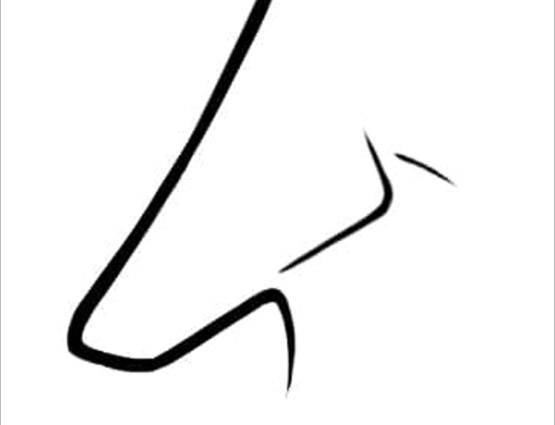 नाक की बनावट खोलेगी आपके व्यक्तित्व के सारे राज!