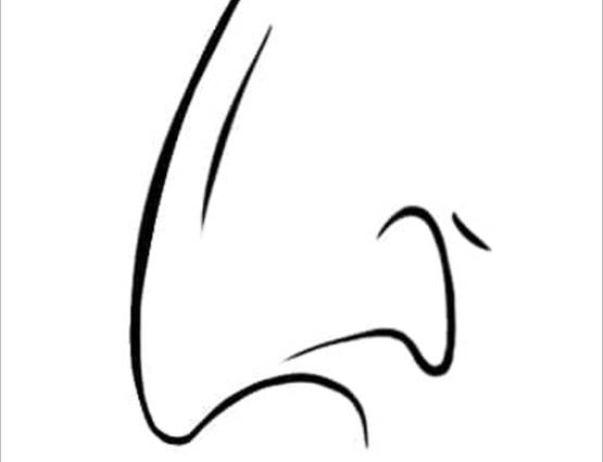 नाक की बनावट खोलेगी आपके व्यक्तित्व के सारे राज!