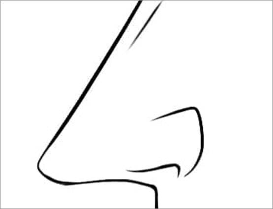 नाक की बनावट खोलेगी आपके व्यक्तित्व के सारे राज!