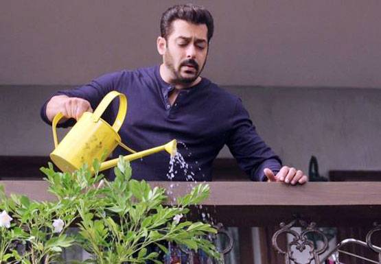 सलमान ने लिए 1 एपिसोड के 11 Cr, खुद को मानते हैं TRP बाज