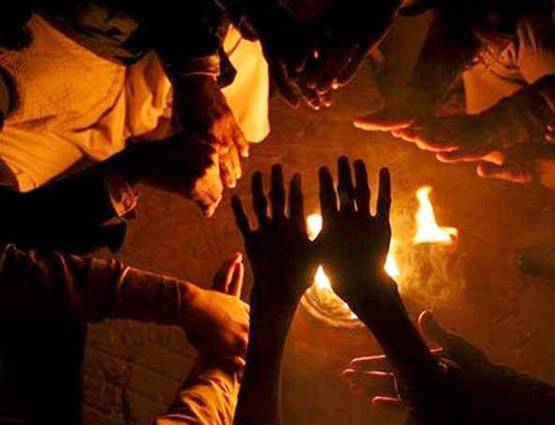 मकर संक्रांति में तिल का महत्व और उसका वैज्ञानिक कारण