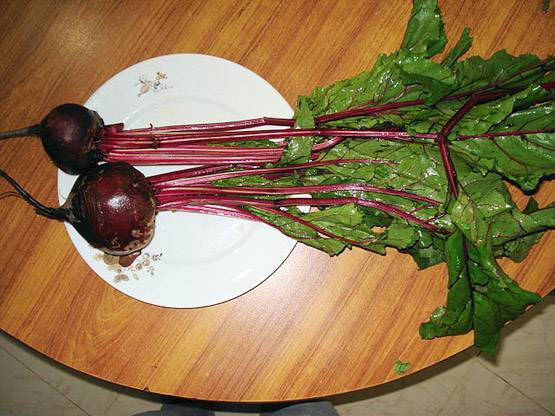 शरीर में खून बढ़ाकर आपको ताकतवर बनाते हैं ये 5 फल