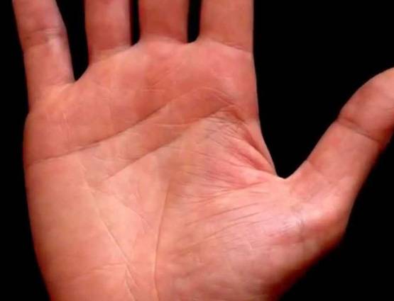 हाथ में ये एक रेखा हो तो आपको अमीर बनने से कोई नहीं रोक सकता!