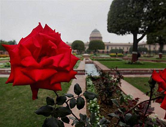 जानिए इस बार क्या खास रहेगा मुगल गार्डन में?