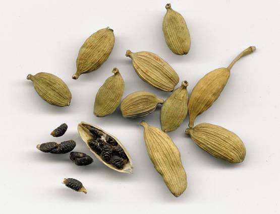 इन 15 रोगों का इलाज है इलायची