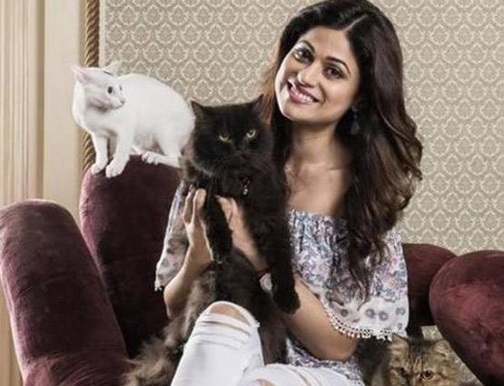 बहन की शादी के लिए छोड़ा था बिग बॉस, शमिता की ऐसे हुई बॉलीवुड एंट्री