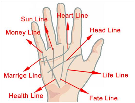 हाथ में ये एक रेखा हो तो आपको अमीर बनने से कोई नहीं रोक सकता!