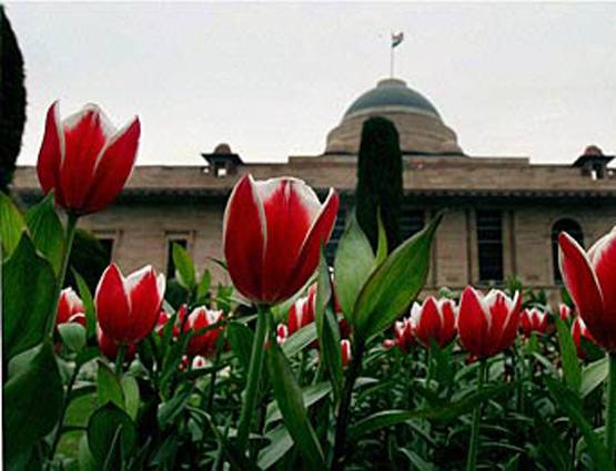 जानिए इस बार क्या खास रहेगा मुगल गार्डन में?