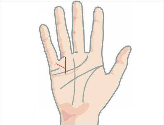 हाथ में ये एक रेखा हो तो आपको अमीर बनने से कोई नहीं रोक सकता!