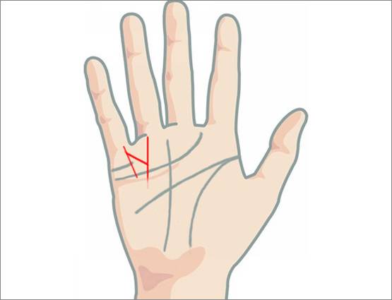 हाथ में ये एक रेखा हो तो आपको अमीर बनने से कोई नहीं रोक सकता!