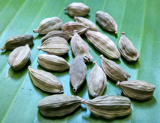 इन 15 रोगों का इलाज है इलायची