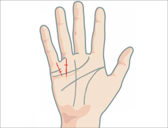 हाथ में ये एक रेखा हो तो आपको अमीर बनने से कोई नहीं रोक सकता!