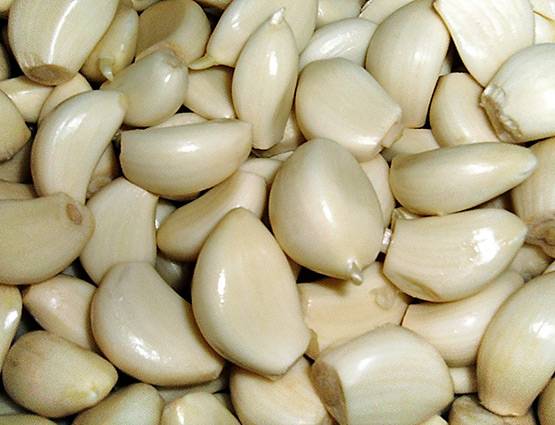 मर्दों के लिए वरदान है लहसुन