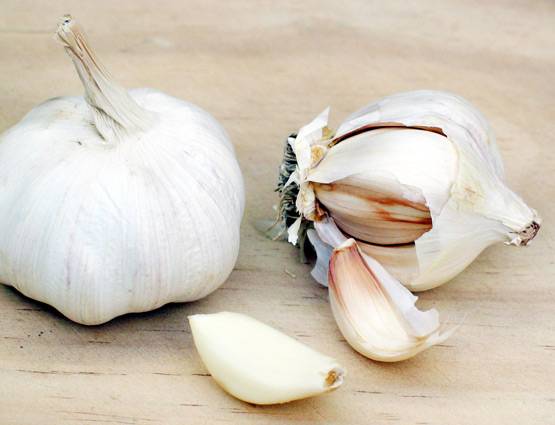मर्दों के लिए वरदान है लहसुन