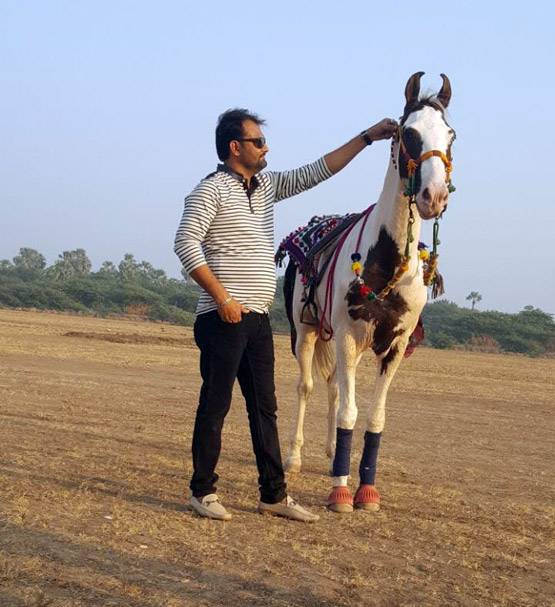 घोड़े की रफ्तार जान चौंक गए सलमान, लगाई 2 करोड़ की बोली