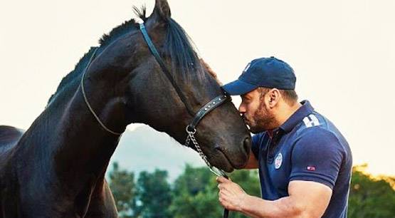 घोड़े की रफ्तार जान चौंक गए सलमान, लगाई 2 करोड़ की बोली