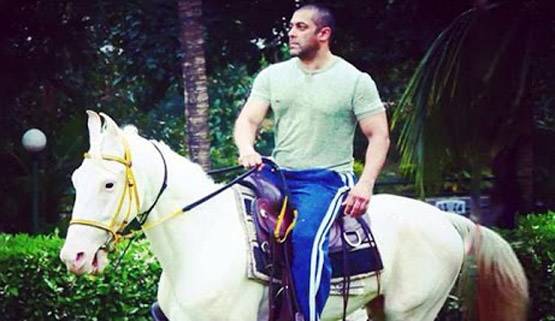 घोड़े की रफ्तार जान चौंक गए सलमान, लगाई 2 करोड़ की बोली