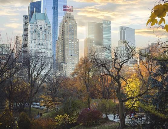 न्यूयॉर्क से सिंगापुर तक हैं नीरव मोदी के आलीशान ठिकाने