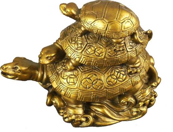 घर में कछुआ रखने के हैं कई लाभ, पर जरूर रखें दिशा का ध्यान