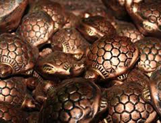 घर में कछुआ रखने के हैं कई लाभ, पर जरूर रखें दिशा का ध्यान