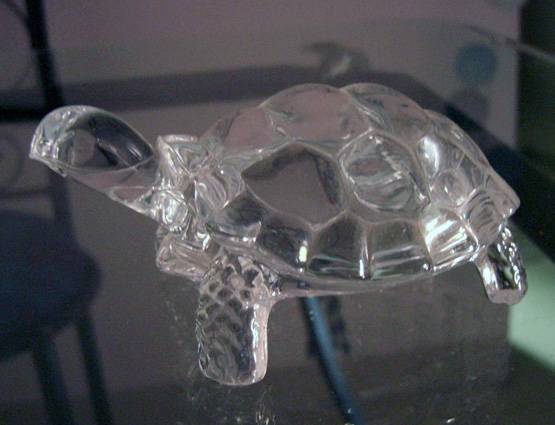 घर में कछुआ रखने के हैं कई लाभ, पर जरूर रखें दिशा का ध्यान