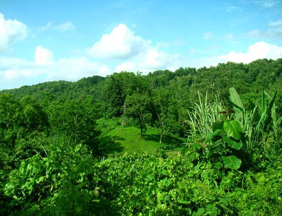 महाभारत-पुराण और अशोक के शिलालेखों में है त्रिपुरा का उल्लेख