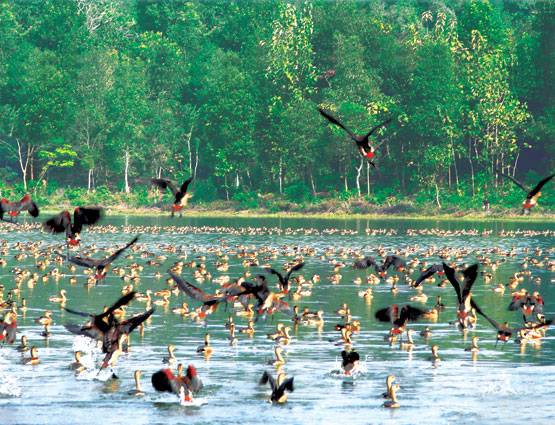 महाभारत-पुराण और अशोक के शिलालेखों में है त्रिपुरा का उल्लेख