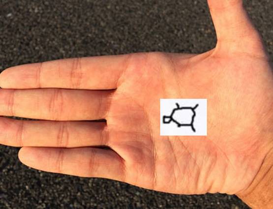 क्या आपके हाथ में हैं अमीर बनने के ये खास निशान?